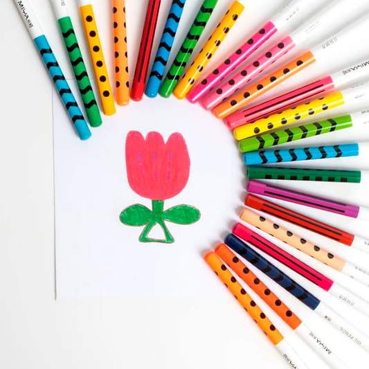 24 lápices en base a aceite MIYA