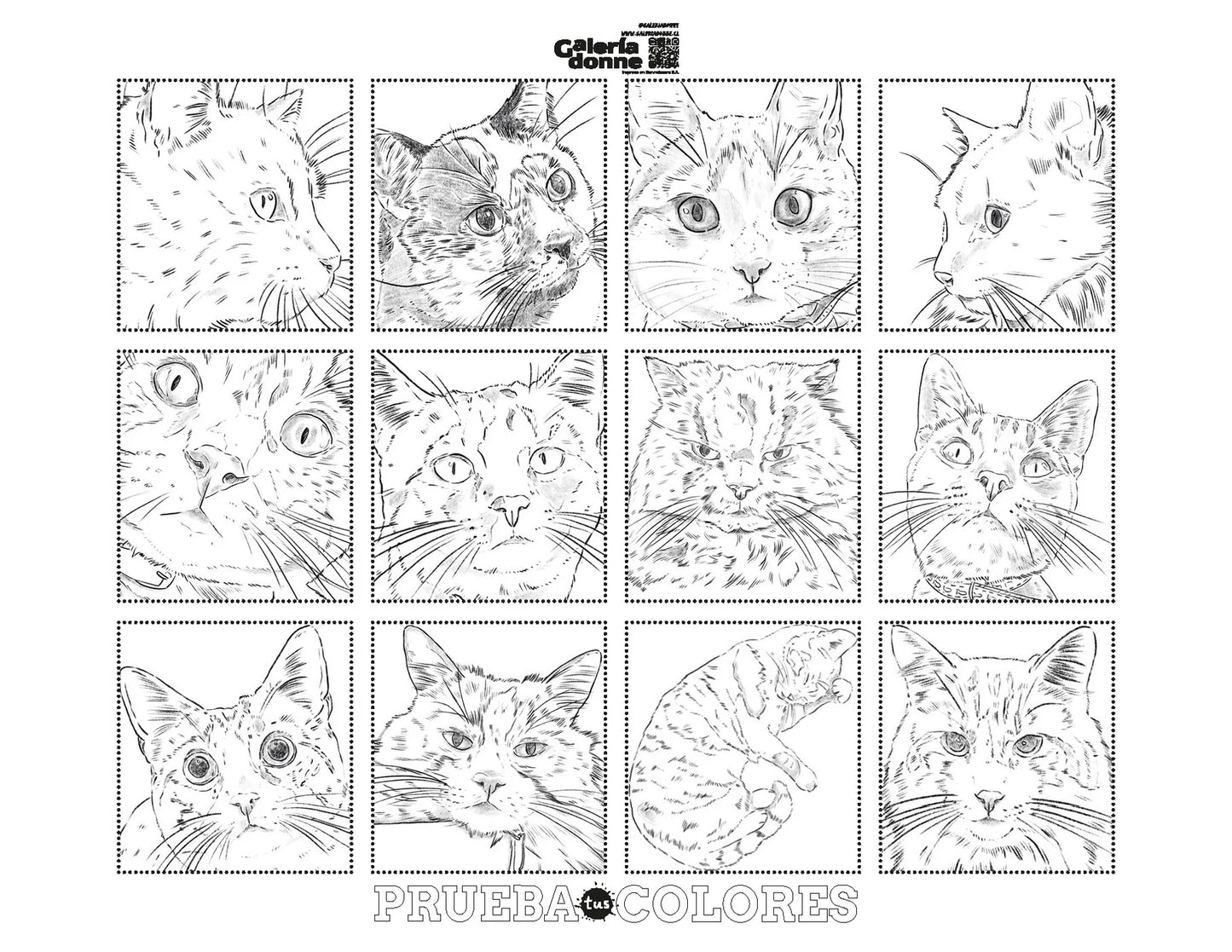 Libro para colorear Gatos por Cata Fuenzalida