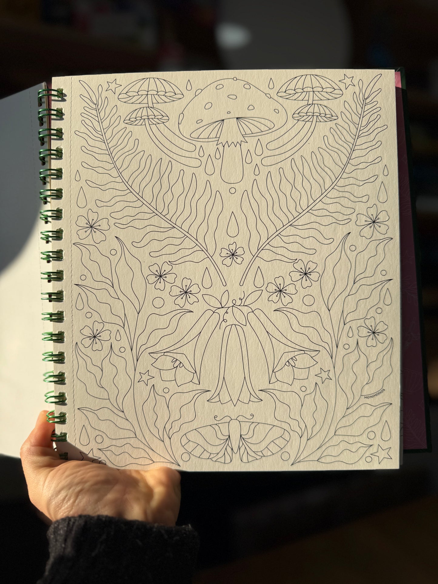 Libro para colorear "Entre ríos y humedales" por Monimonos