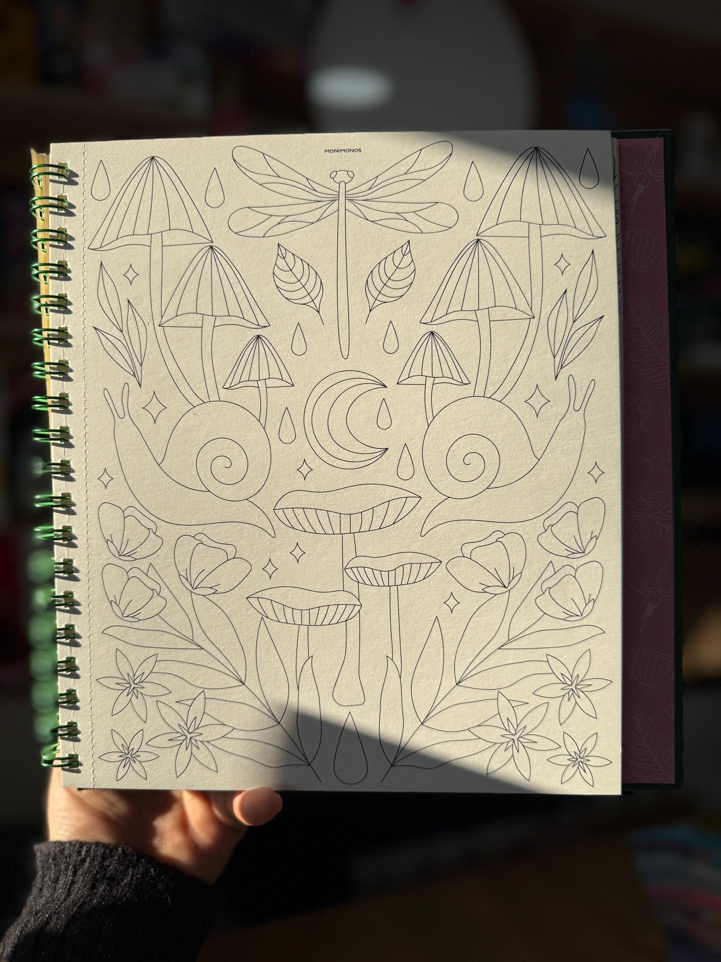 Libro para colorear "Entre ríos y humedales" por Monimonos