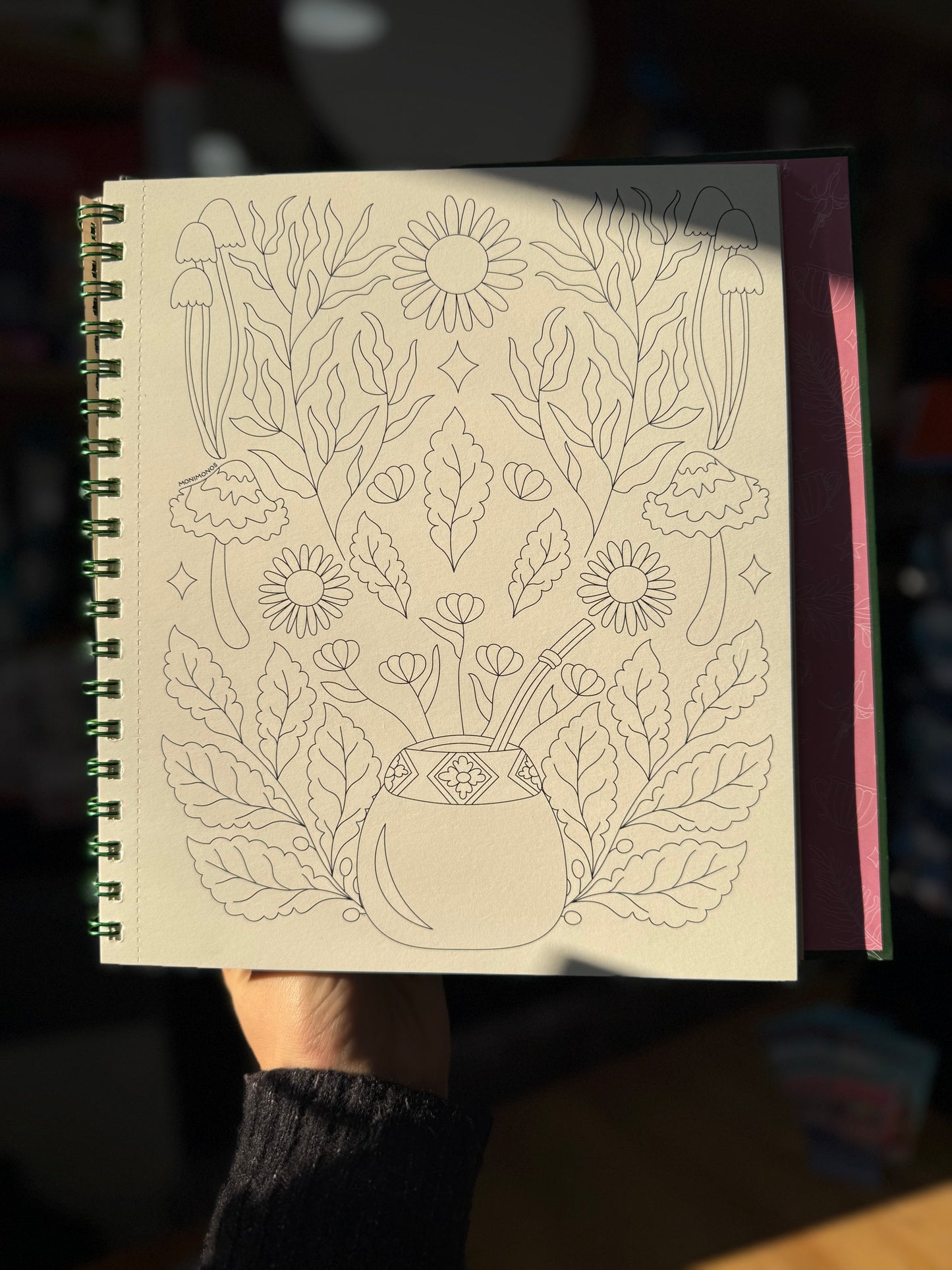 Libro para colorear "Entre ríos y humedales" por Monimonos
