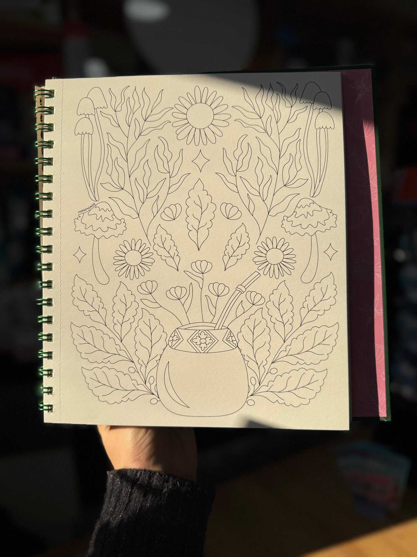 Libro para colorear "Entre ríos y humedales" por Monimonos