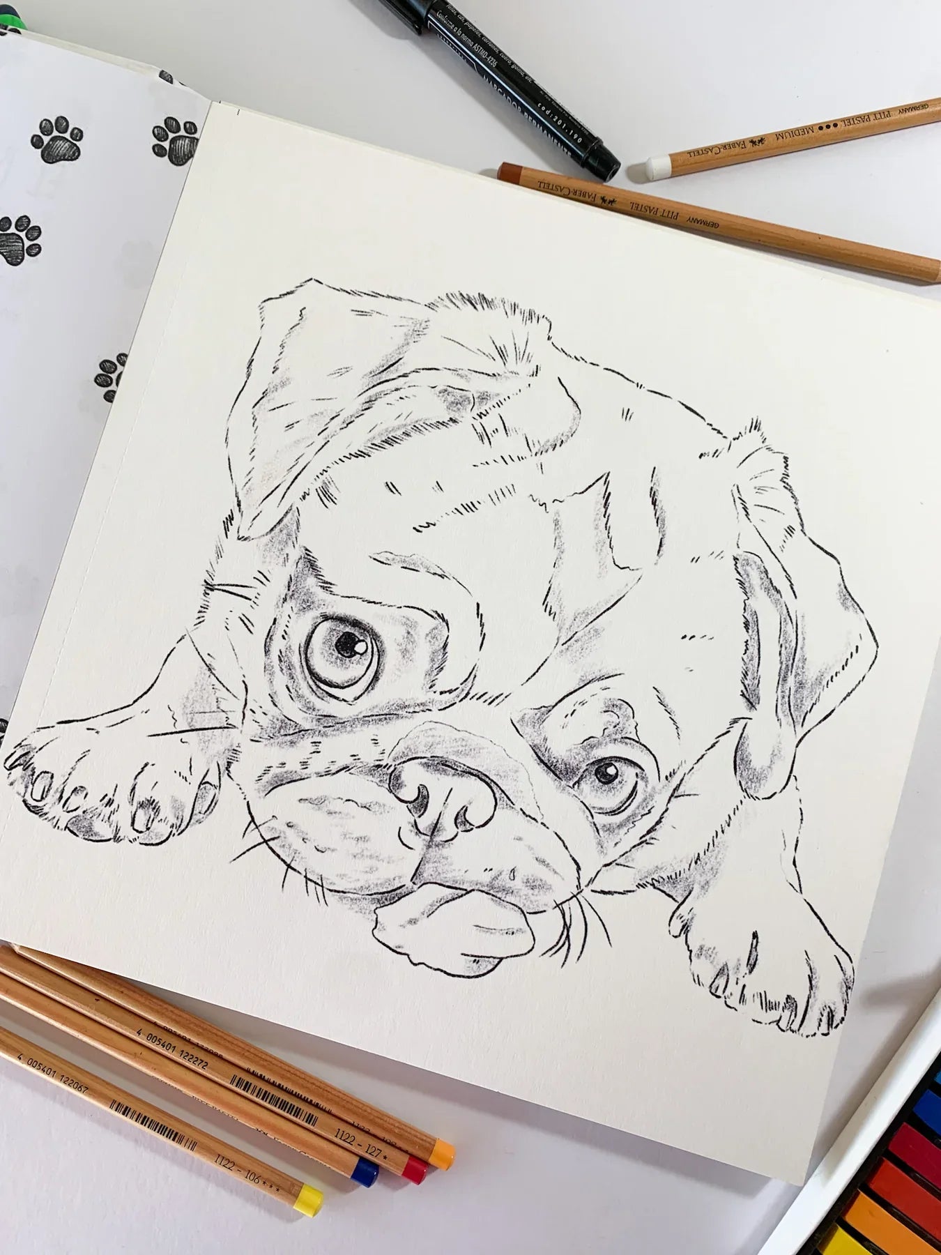 Libro para colorear Perros por Cata Fuenzalida