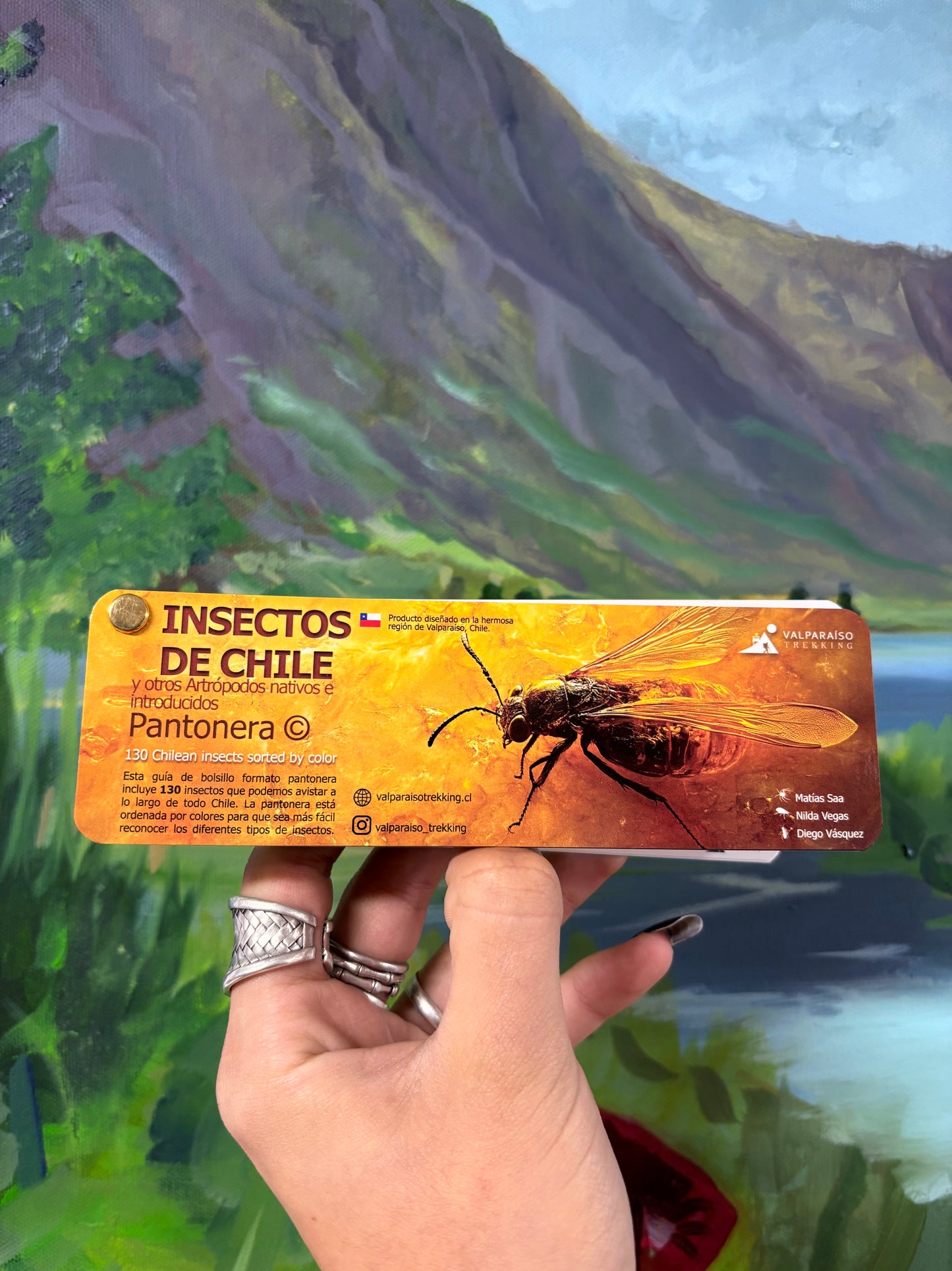 Pantonera de Insectos de Chile Valparaíso Treking