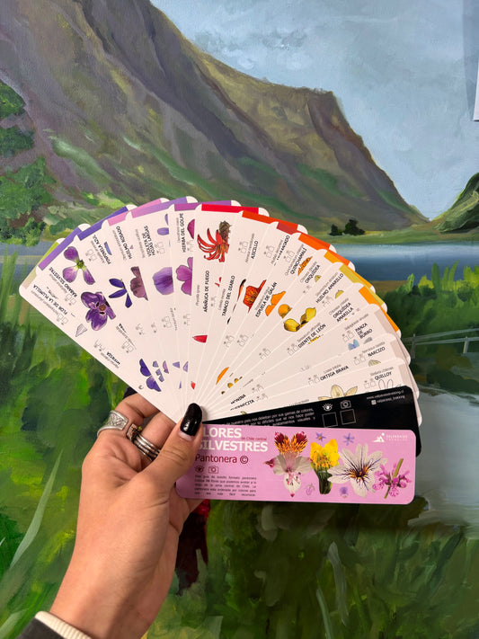 Pantonera de Flores Silvestres Valparaíso Treking