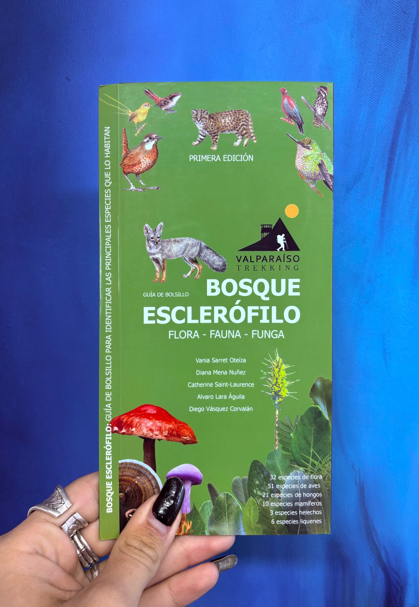 Guía de Bolsillo Bosque Esclerófilo Valparaíso Treking