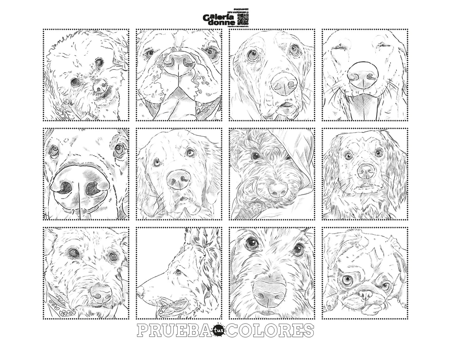 Libro para colorear Perros por Cata Fuenzalida