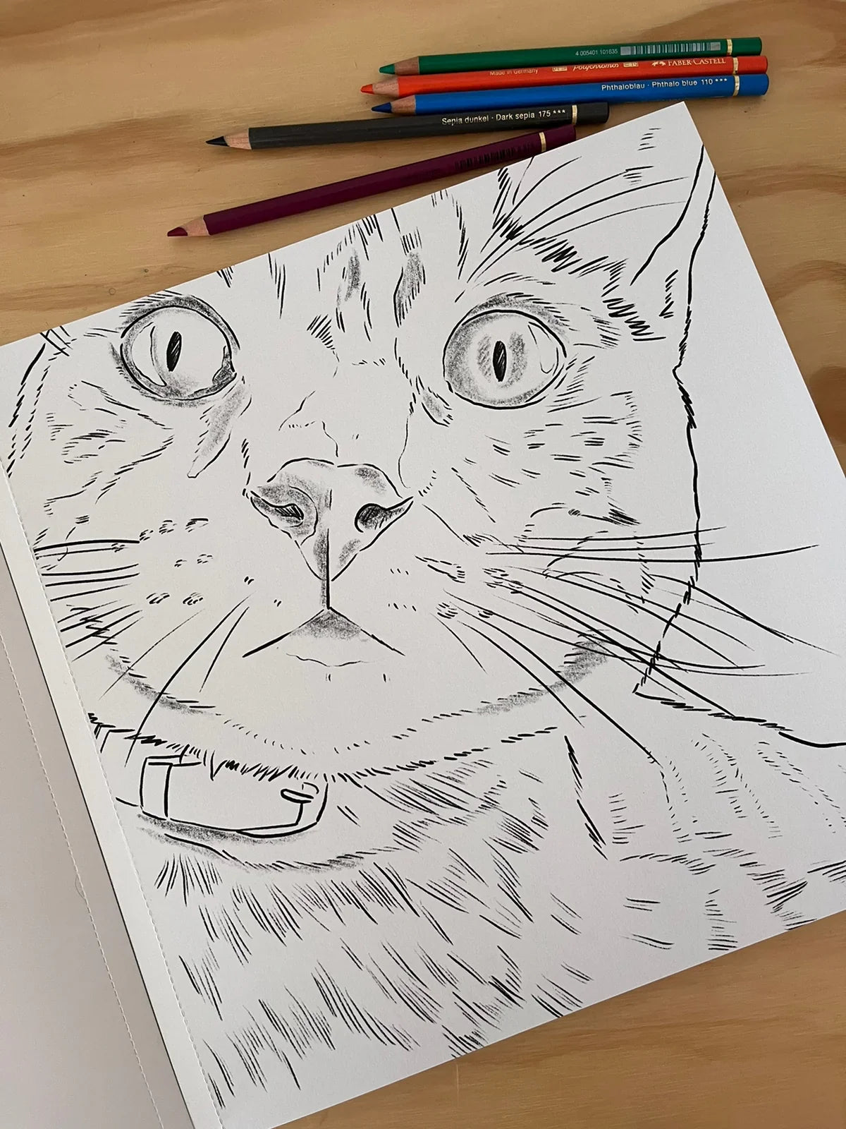 Libro para colorear Gatos por Cata Fuenzalida
