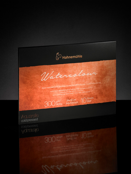 Block Acuarela Hahnemuhle 100% Algodón 300gramos Grano grueso 10hjs