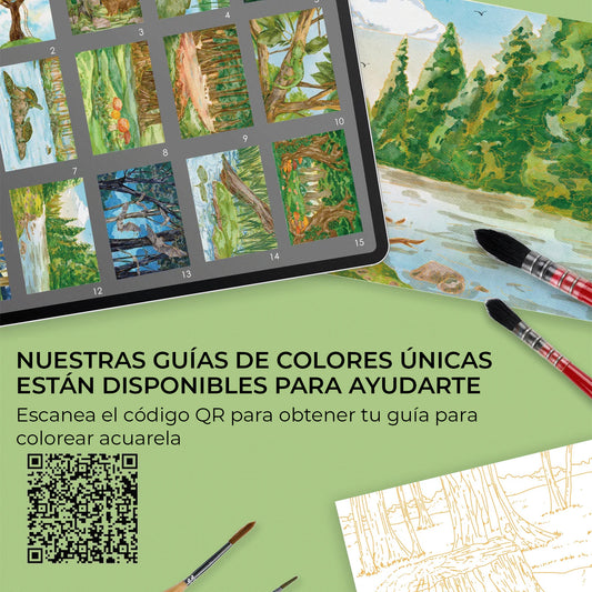 LIBRO PARA COLOREAR DE ACUARELA CON TEMÁTICA BOSQUE (15 HOJAS 300 GSM) Grabie