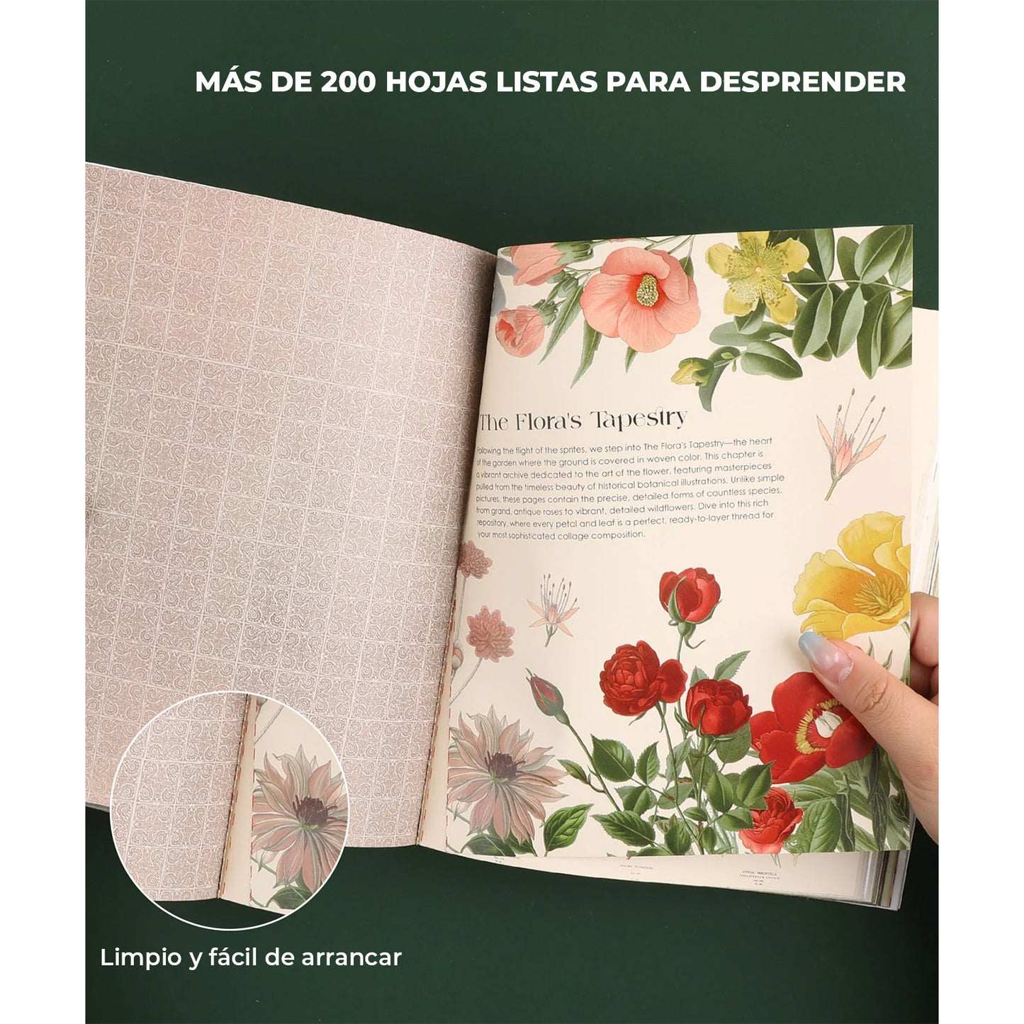 LIBRO DE ACTIVIDADES DE COLLAGE LA MUSA BOTÁNICA DE MÁS DE 200 PÁGINAS - GRABIE