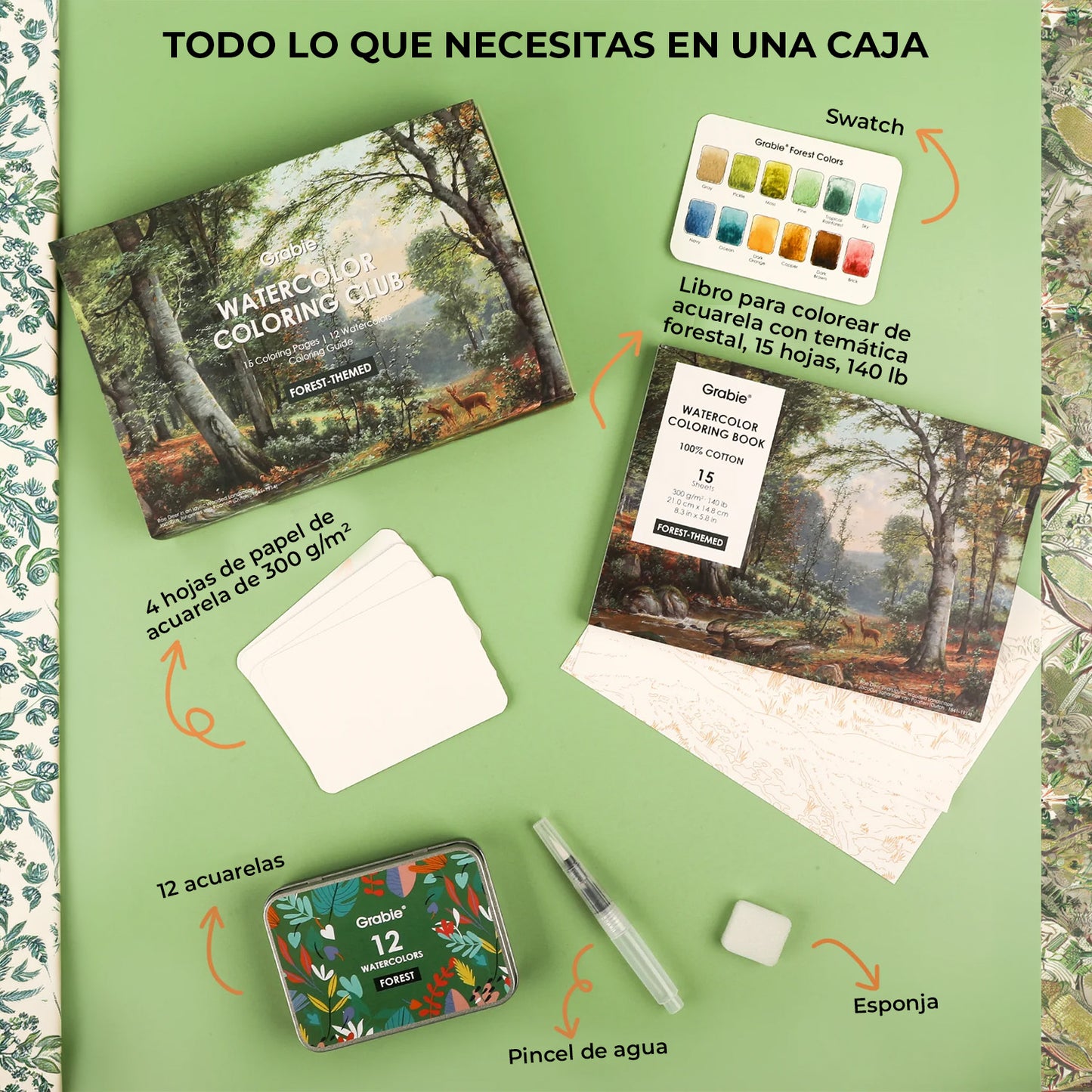COLORING CLUB - CAJA PARA COLOREAR CON ACUARELA DE TEMÁTICA BOSQUE