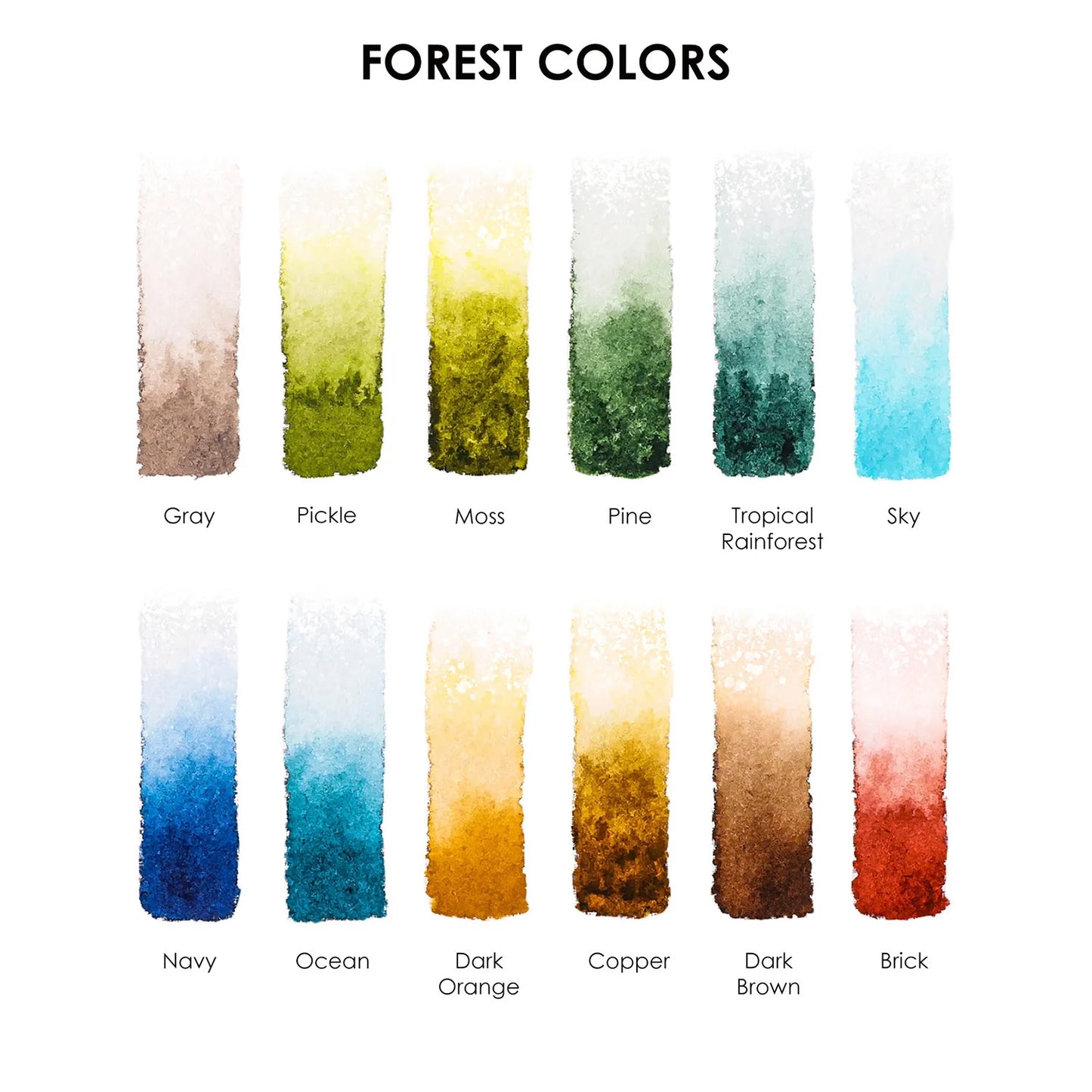 COLORING CLUB - CAJA PARA COLOREAR CON ACUARELA DE TEMÁTICA BOSQUE