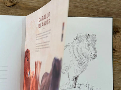 Libro para colorear "CABALLOS, RAZAS DEL MUNODO" por Isabel Marín
