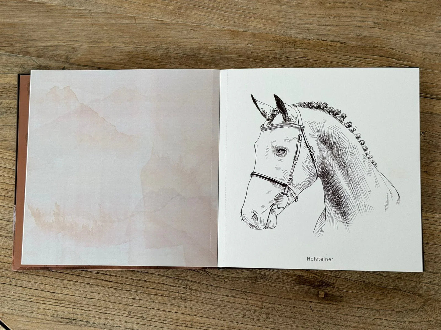 Libro para colorear "CABALLOS, RAZAS DEL MUNODO" por Isabel Marín