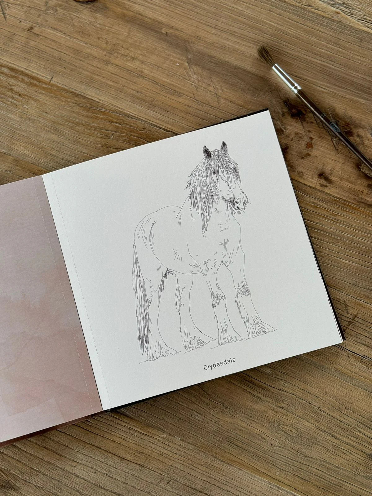 Libro para colorear "CABALLOS, RAZAS DEL MUNODO" por Isabel Marín