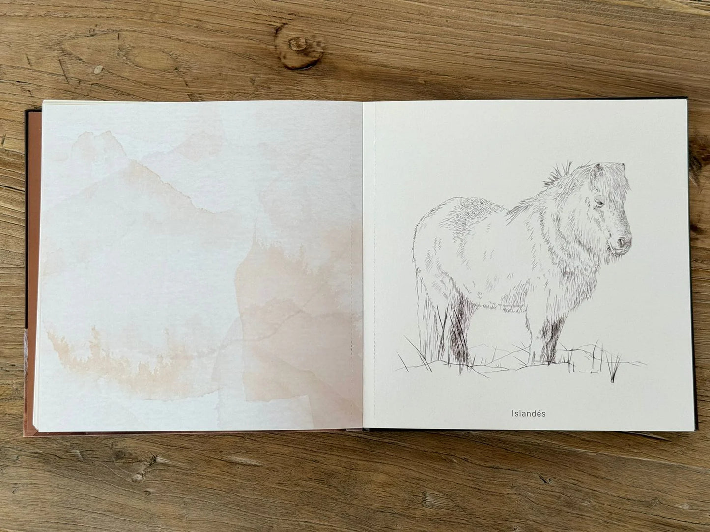Libro para colorear "CABALLOS, RAZAS DEL MUNODO" por Isabel Marín