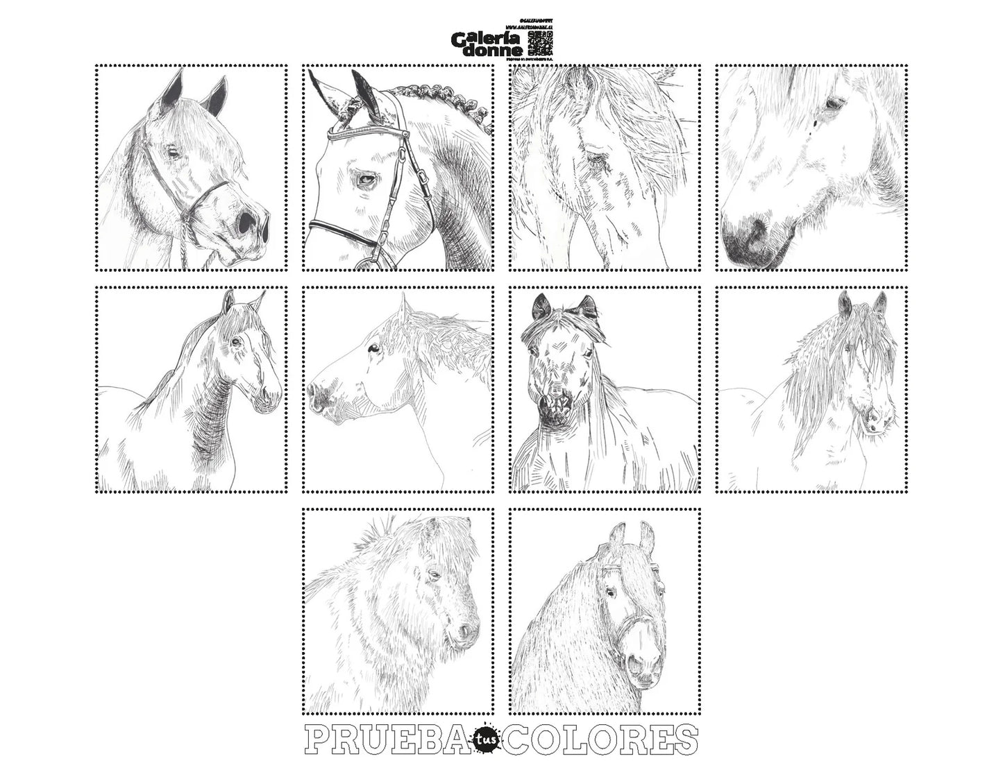 Libro para colorear "CABALLOS, RAZAS DEL MUNODO" por Isabel Marín
