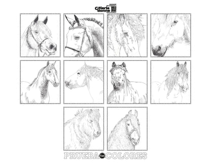 Libro para colorear "CABALLOS, RAZAS DEL MUNODO" por Isabel Marín