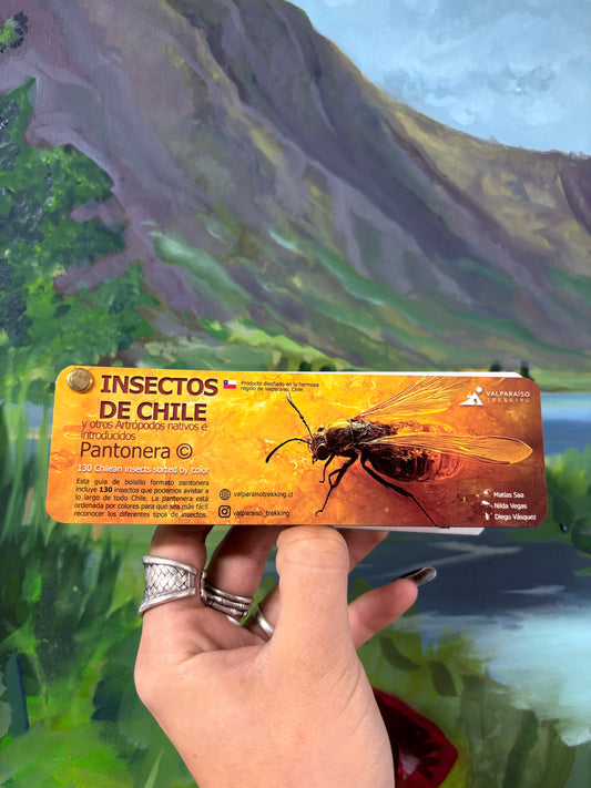 Pantonera de Insectos de Chile Valparaíso Treking