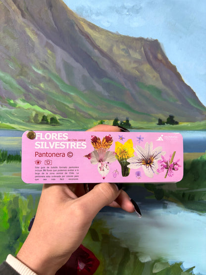 Pantonera de Flores Silvestres Valparaíso Treking