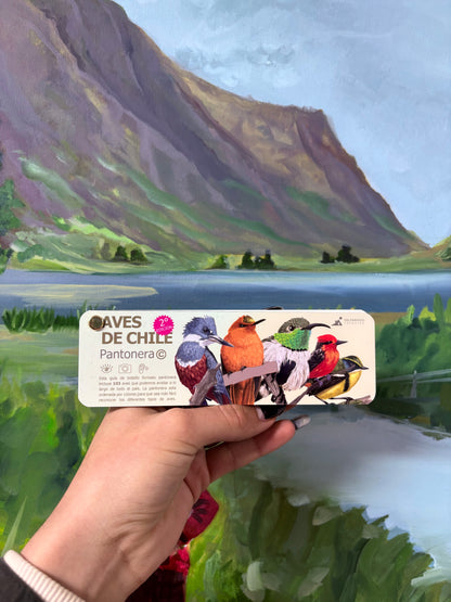 Pantonera Aves de Chile Valparaíso Treking