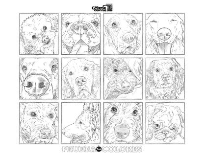 Libro para colorear Perros por Cata Fuenzalida