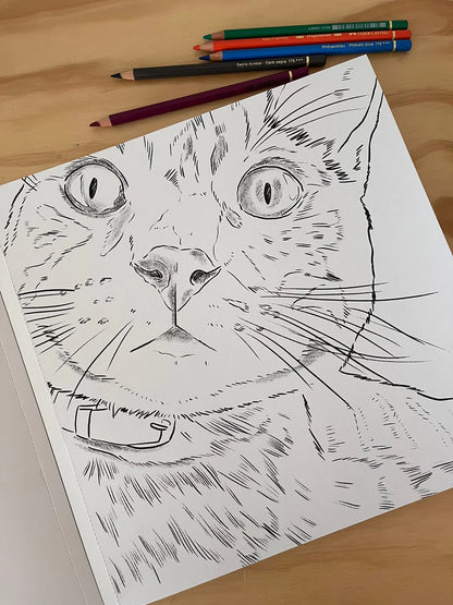 Libro para colorear Gatos por Cata Fuenzalida