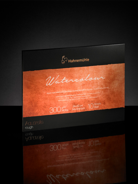 Block Acuarela Hahnemuhle Algodón 300gr 36x48cm 10hjs
