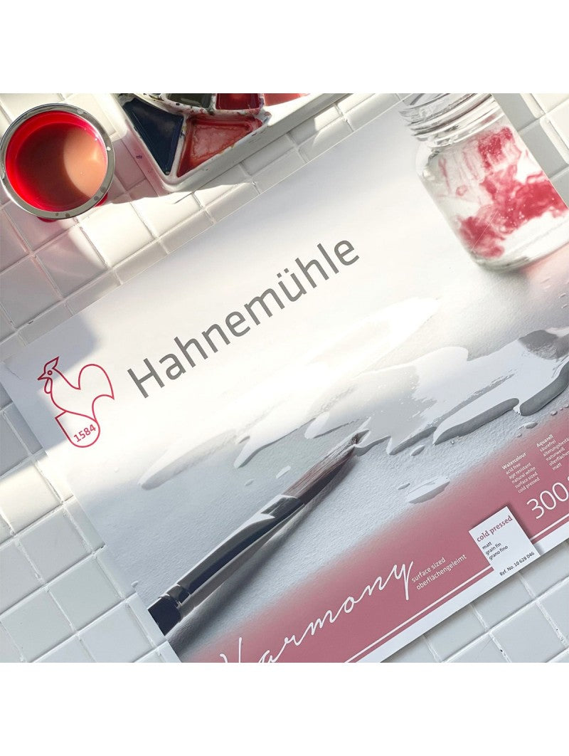 Block Acuarela Hahnemuhle "Harmony" 300gr 12 Hojas
