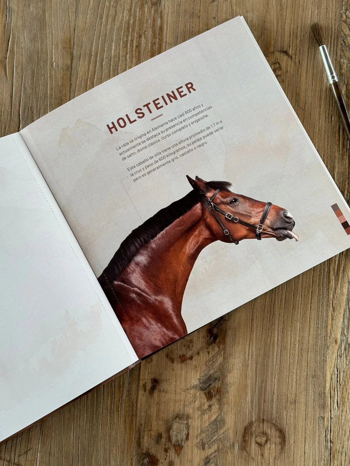 Libro para colorear "CABALLOS, RAZAS DEL MUNODO" por Isabel Marín