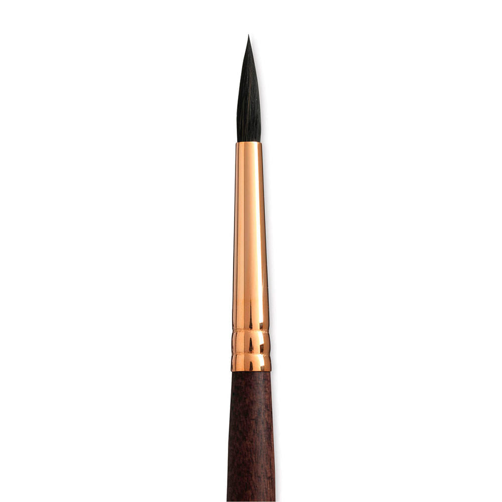 Pincel Princeton Neptune Round 06