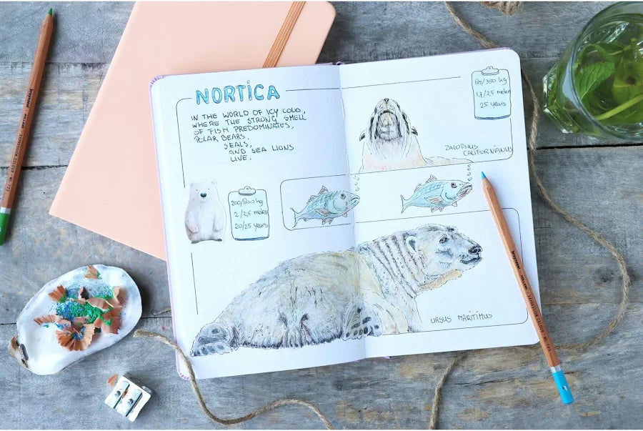 Bullet Journal Bruynzeel 13x21cm 140gr. 64 hojas